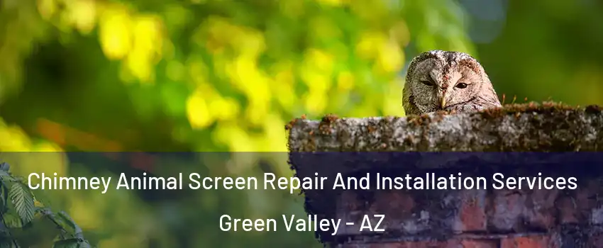  Chimney Animal Screen Repair And Installation Services Green Valley - AZ