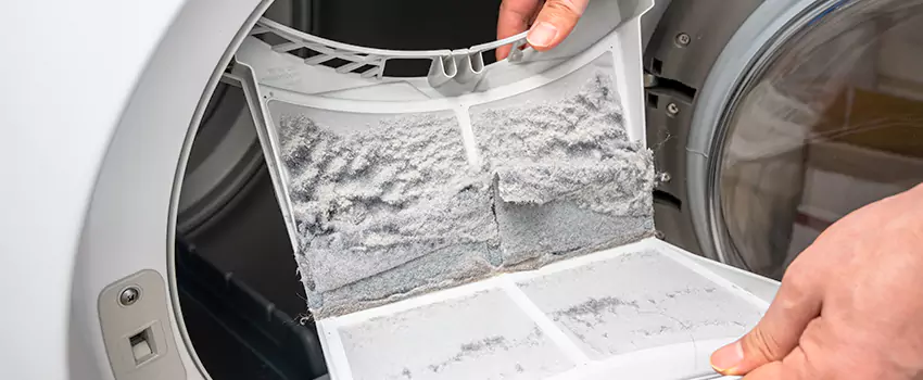 Best Dryer Lint Removal Company in Green Valley, Arizona